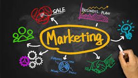 FUNDAMENTAL MARKETING TO GROW YOUR BUSINESS